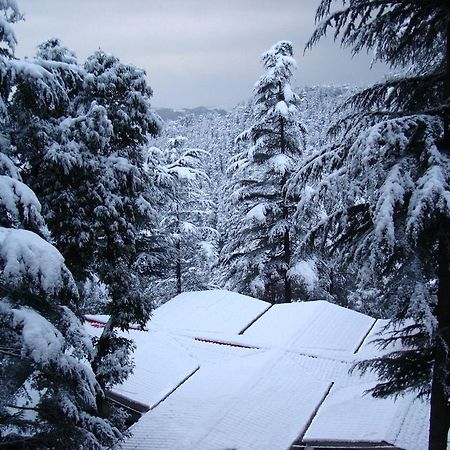 Fairmount Hotel Shimla Eksteriør billede